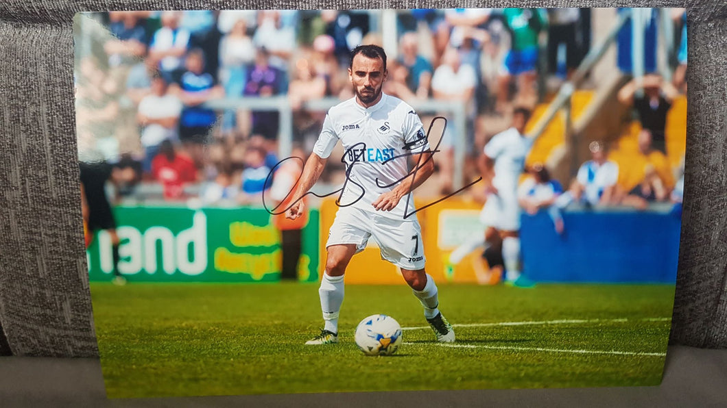 Leon Britton - 12x8